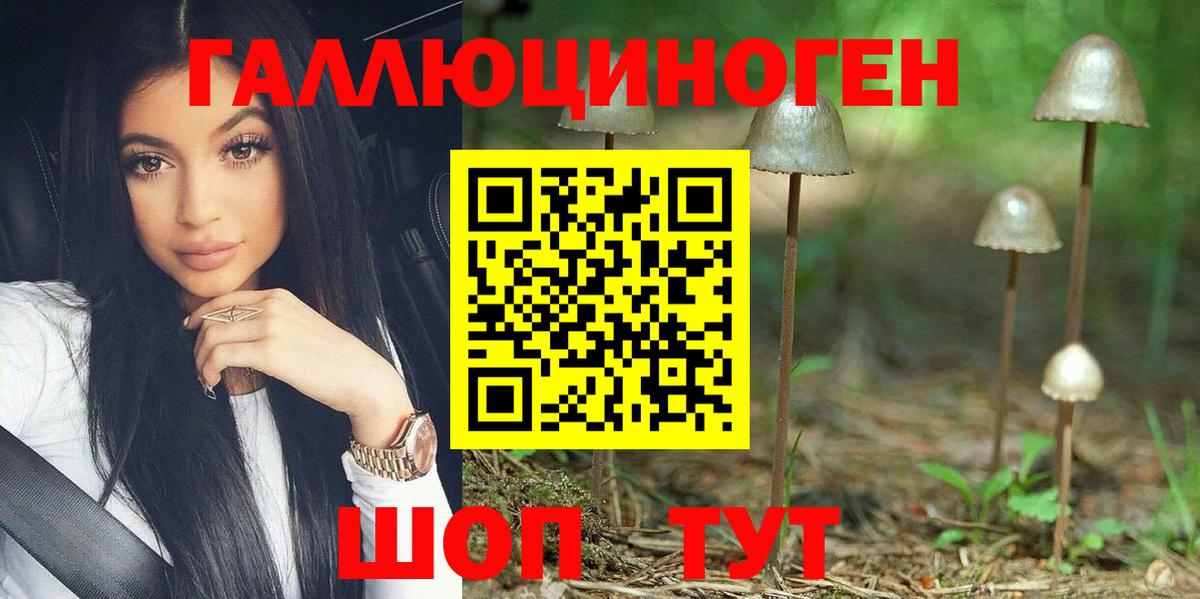 где можно купить наркотик  Вход с VPN  Унеча  Псилоцибиновые грибы GOLDEN TEACHER  Псилоцибиновые грибы ЛСД 